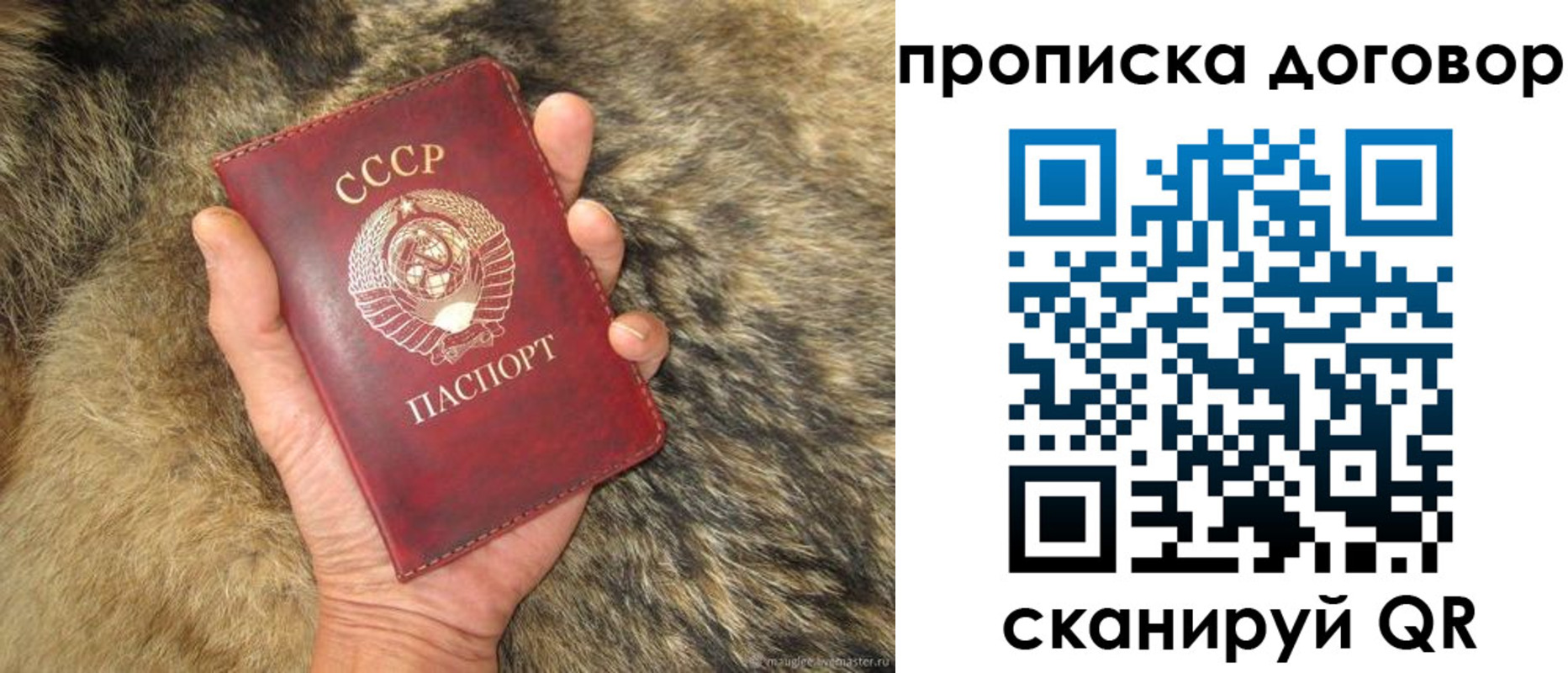 прописка регистрация в Питкяранте